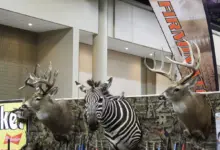 Animal Display Best Hunting Locations In Alabama