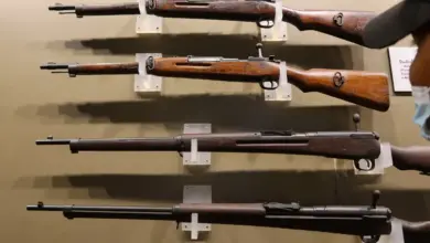 .22 Long Guns