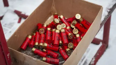 28 Gauge vs. 410 Showdown