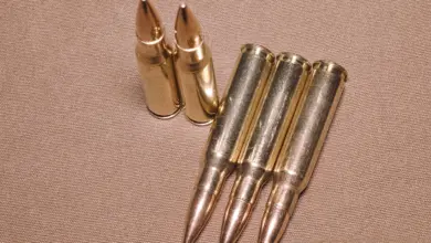 .300 Win Mag vs .308 Winchester