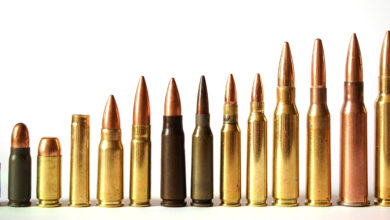 Arizona firearms transport laws for hunters